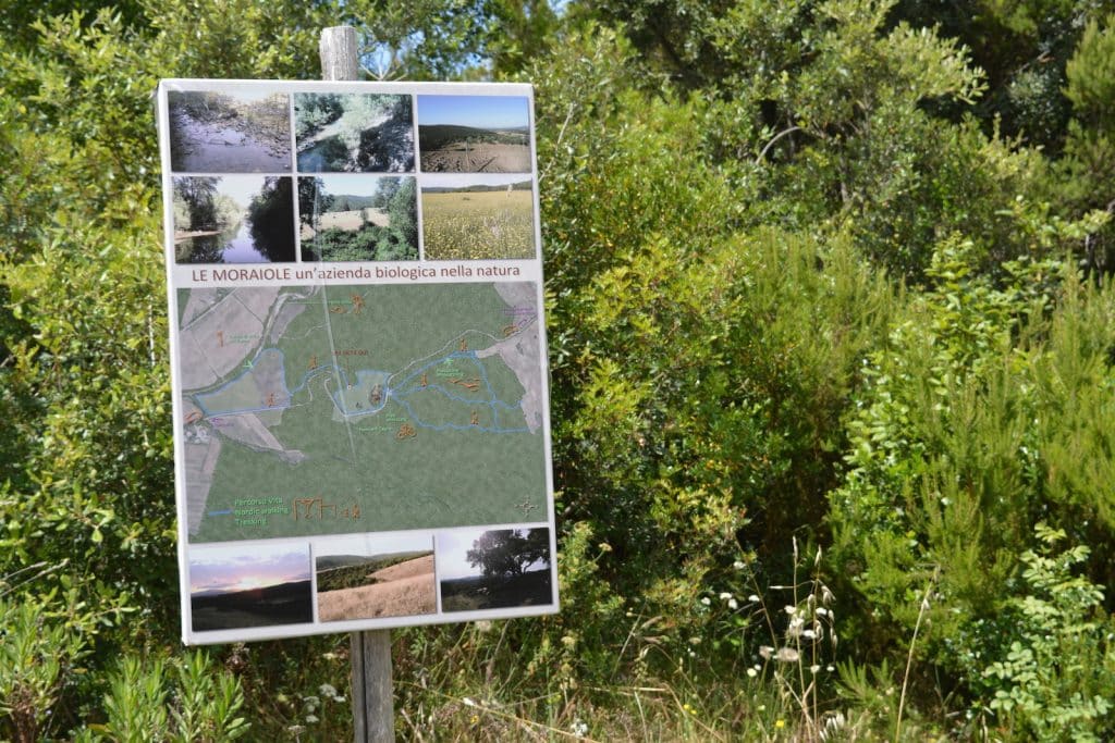 fare trekking maremma agriturismo