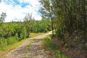 agriturismo per famiglie toscana