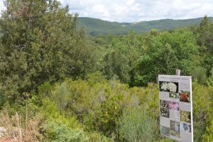 agriturismo toscana trekking mountain bike