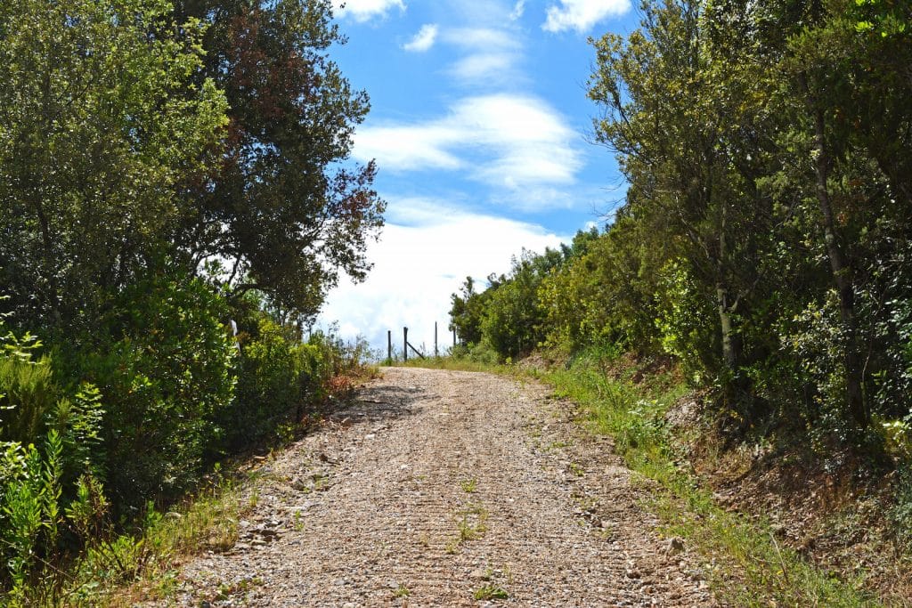 mountain bike toscana