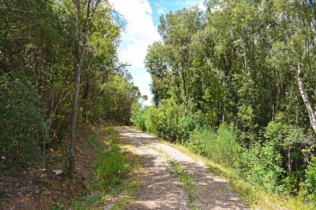 agriturismo mountain bike toscana