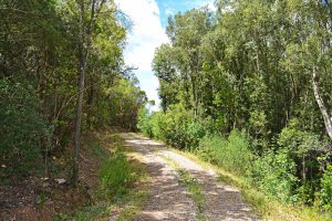 agriturismo mountain bike toscana