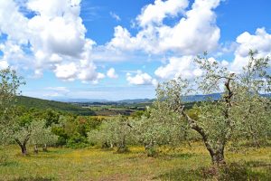 agriturismo vicino al mare toscana