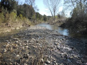 Percorso trekking al Borgo Le Moraiole