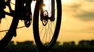 Mountain Bike e Trekking