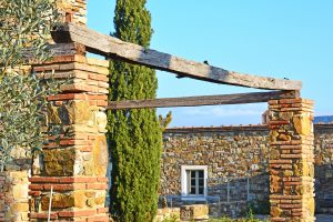 azienda bio toscana