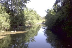 Percorso trekking al Borgo Le Moraiole