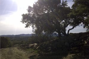 Percorso trekking al Borgo Le Moraiole