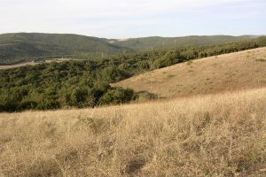 podere in maremma