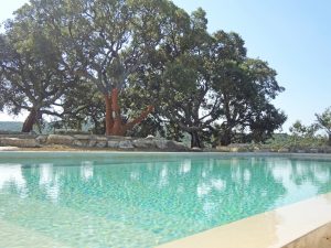 agriturismo piscina toscana