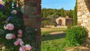 Ospitalità: Borgo Le Moraiole