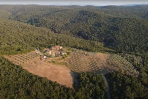 Azienda Biologica: Veduta Aerea Borgo Le Moraiole