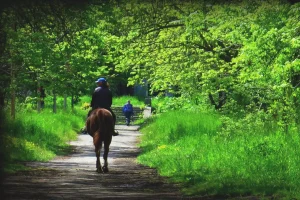 Passeggiate a Cavallo