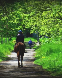 Passeggiate a Cavallo