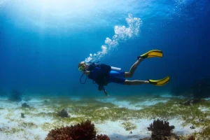 Attività nei dintorni: Immersioni subacquee