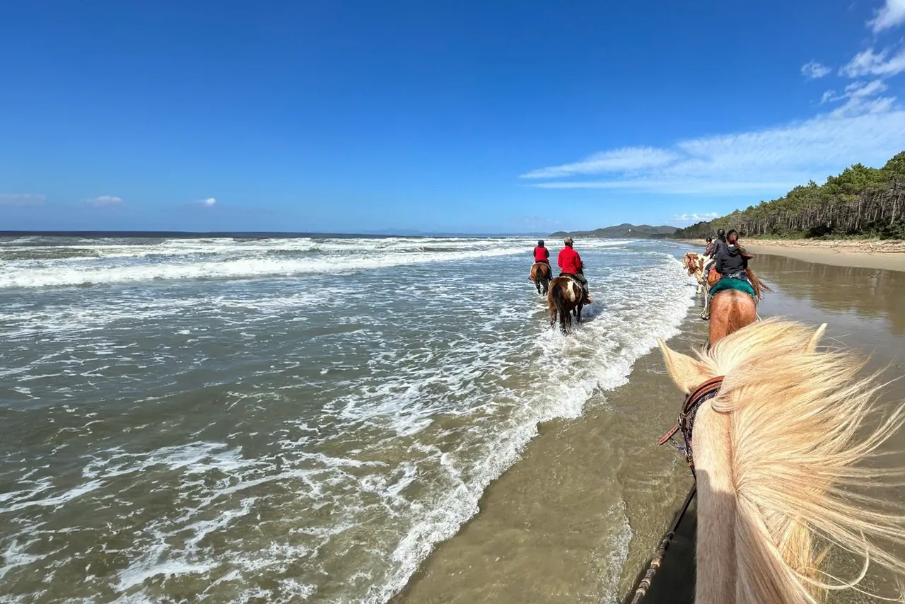 Passeggiate a cavallo cala violina