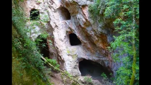 Parco di Montioni