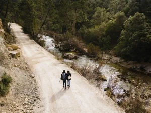 Trekking e Passeggiate