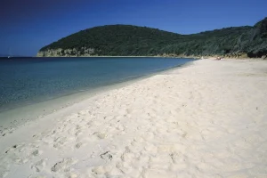 Cala Violina