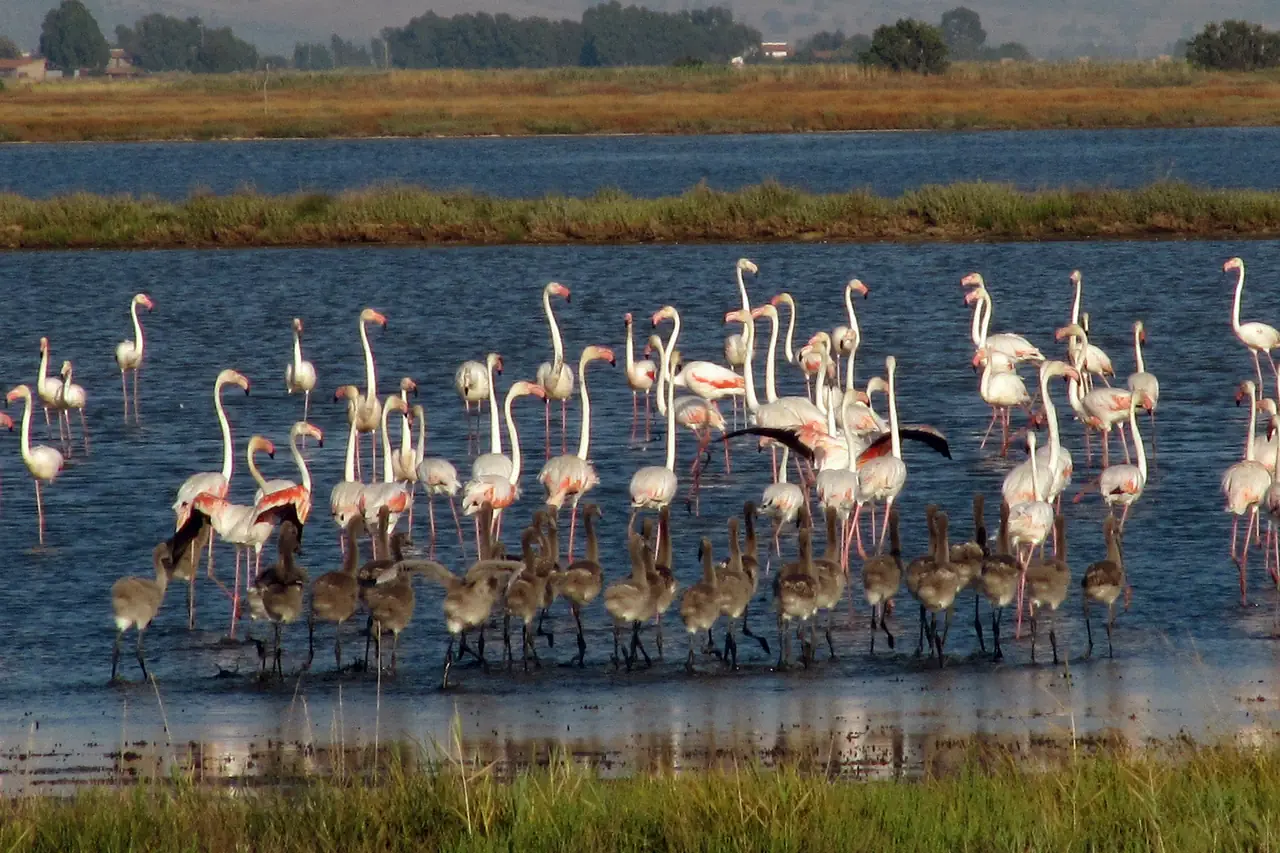Parco regionale della maremma